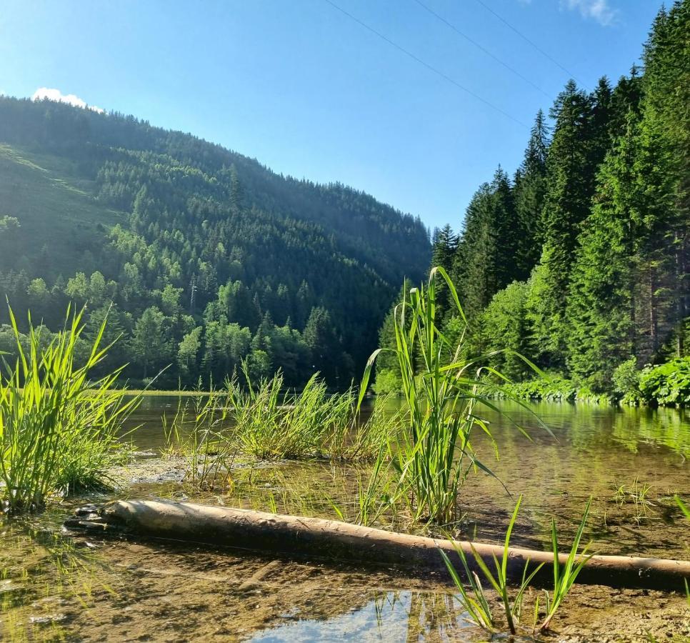Das Geringer Schladming Zewnętrze zdjęcie